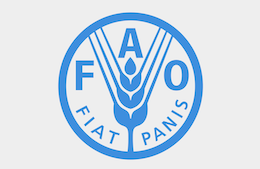 Agricultural plastics & sustainability : a call for action by FAO