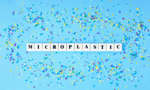 Scientific Workshop dedicated to microplastics and human health risk