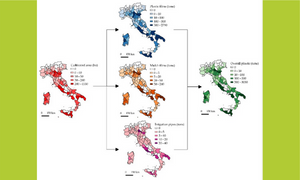 An Inductive Approach to Digital Atlas of Agricultural Plastics II