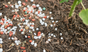 Microplastics in Soils – International Conference