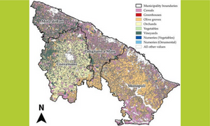 Prospective Scenarios for Addressing the Agricultural Plastic Waste Issue: Results of a Territorial Analysis