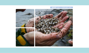 Swedish Environmental Agency – Microplastics in the Environment 2019