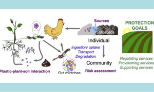 An overview of microplastic and nanoplastic pollution in agroecosystems