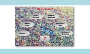 Plastics in soil: Analytical methods and possible sources