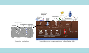 Focus topics on microplastics in soil: Analytical methods, occurrence, transport, and ecological risks