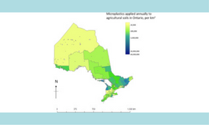 Transfer and transport of microplastics from biosolids to agricultural soils and the wider environment