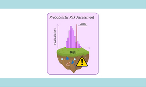 Probabilistic environmental risk assessment of microplastics in soils