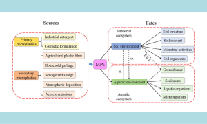 Behavior of microplastics and plastic film residues in the soil environment: A critical review