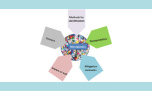 Microplastics in terrestrial ecosystem: Sources and migration in soil environment