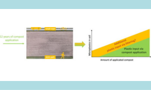 Microplastic contamination of soil: Are input pathways by compost overridden by littering?