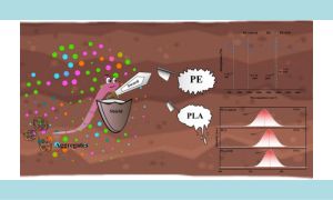 Earthworms mediate the influence of polyethylene (PE) and polylactic acid (PLA) microplastics on soil bacterial communities