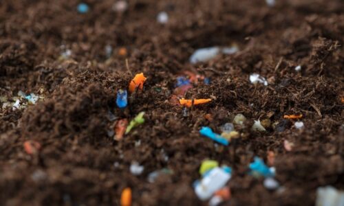 International Conference (Micro-Nano) Plastics in Soil 2024