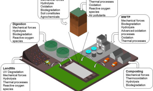 What Happens to Plastics After They Enter Soil?