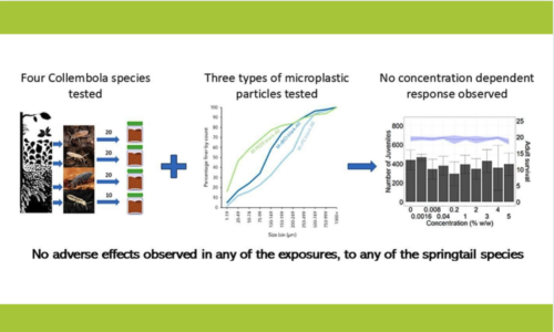 Survival and reproduction effects of microplastics on springtails