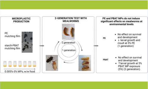 Effects of agricultural microplastics in multigenerational tests with insects