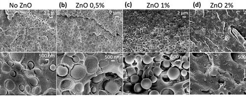 How Sunlight and Water Affect Biodegradable Plastics with ZnO Nanoparticles
