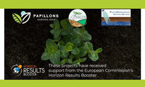 PAPILLONS, MiCoS and Plastic Underground collaborate through Horizon Booster